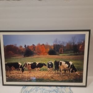 Framed Cow Pasture Art Print